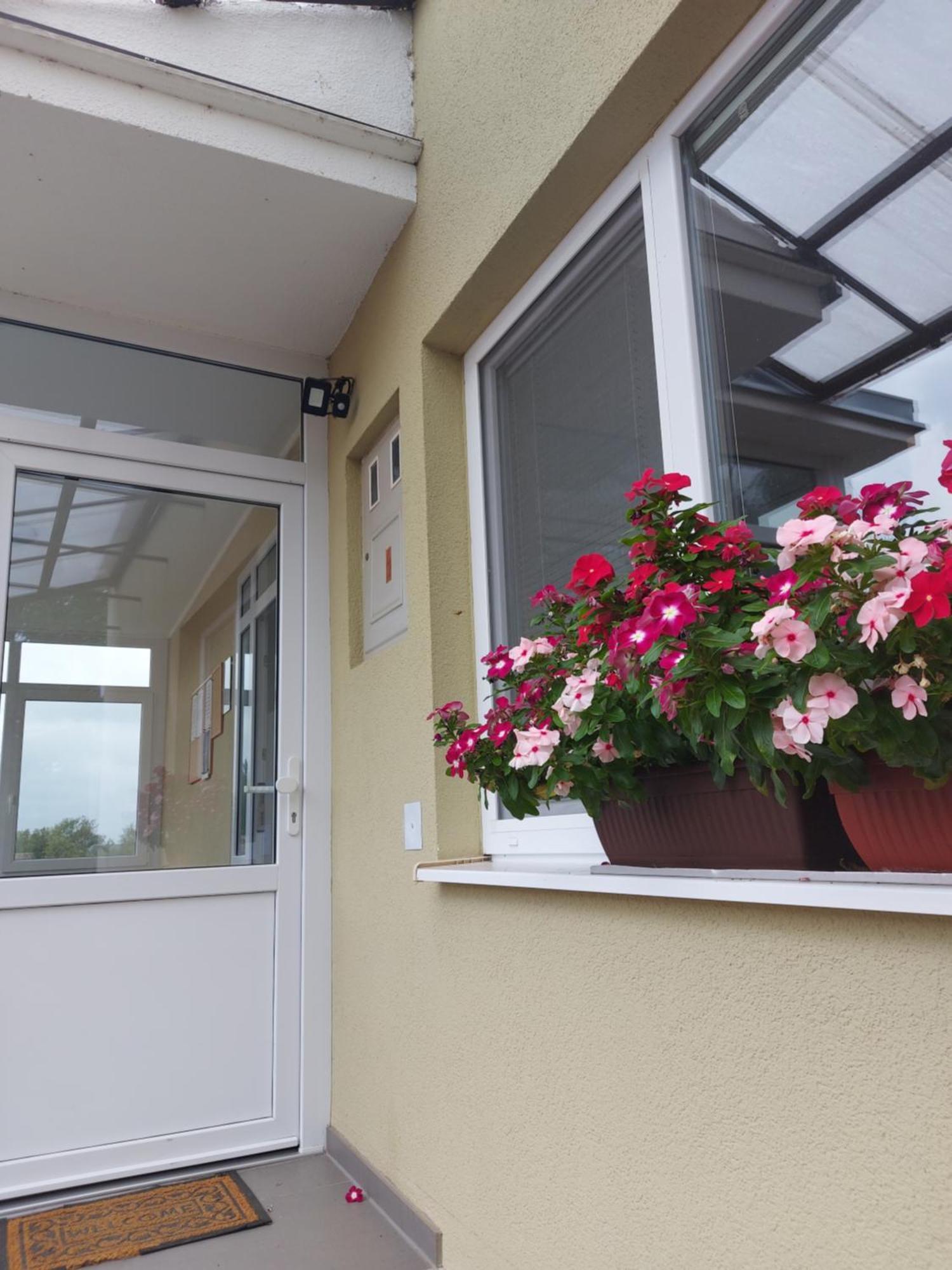 Apartman Kovac-Bilje Chambre photo