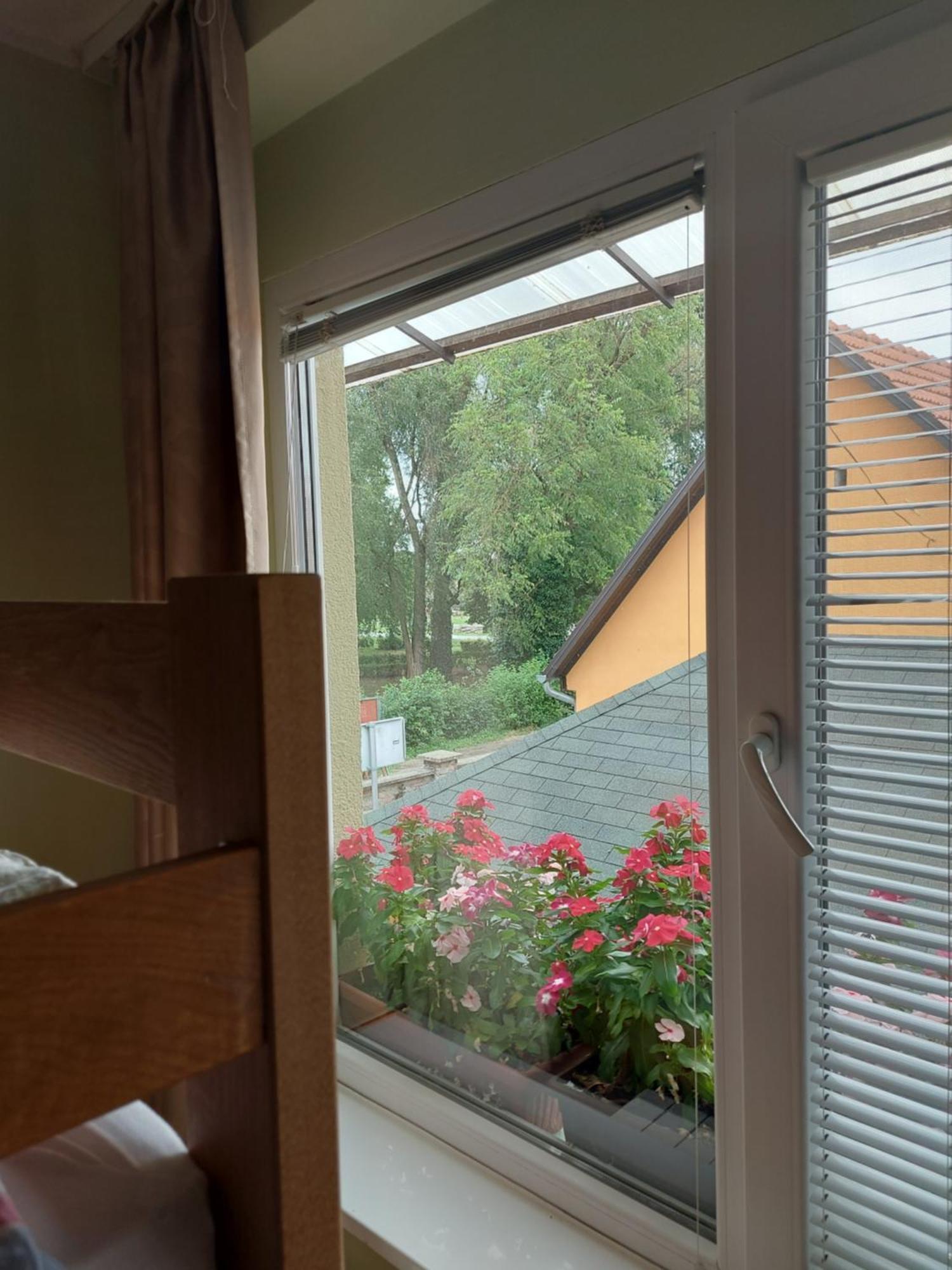 Apartman Kovac-Bilje Chambre photo